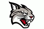 Davidson Wildcats logo