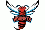 Delaware St Hornets logo